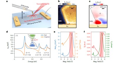 Nature Nanotech：石墨烯中狄拉克磁激子的低温强磁场扫描近场光学成像！
